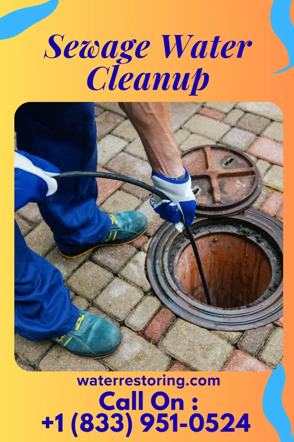 Sewage Water Cleanup in Jolmaville, WI